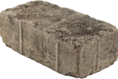 Alpine Stone Paver Small Rectangle