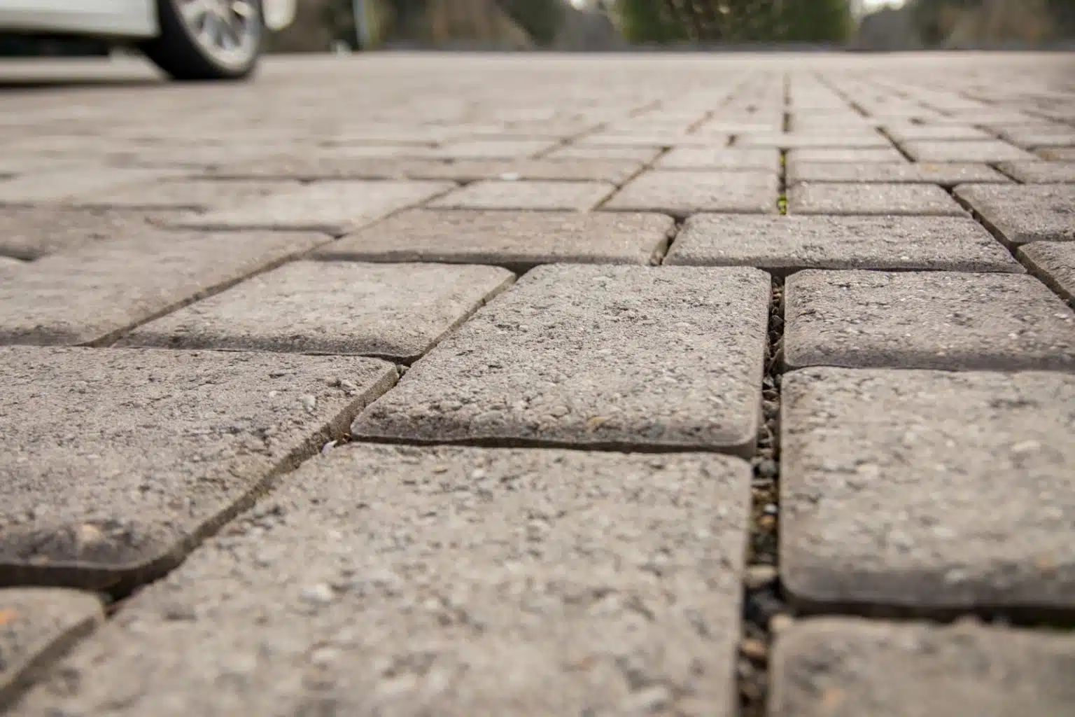 Camino Ecogreen Cambridge Color Paver close up