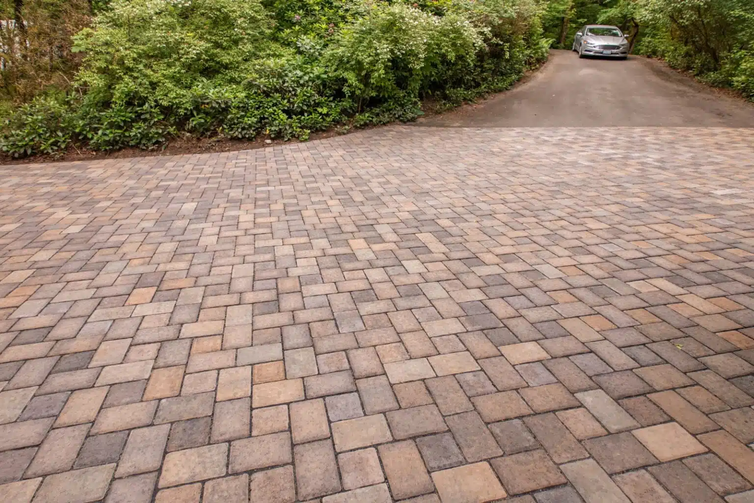 Camino Ecogreen Jamestown Color Paver with shubbery
